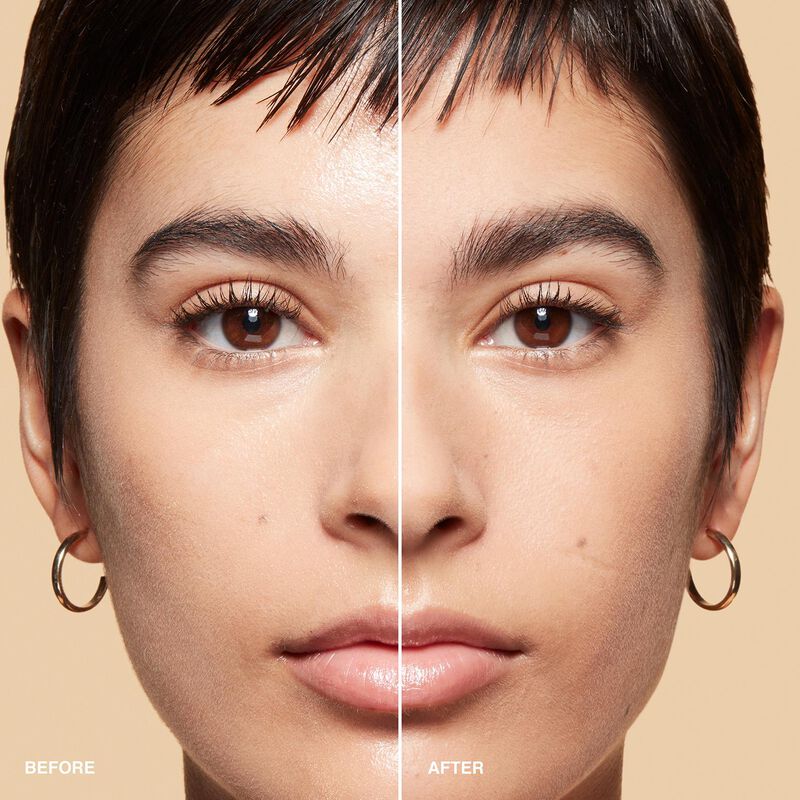 Bobbi Brown Sheer Finish Pressed Powder image number 18